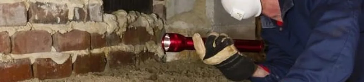 Pest control technician inspecting a crawl space for ant activity and entry points in Rochester, NY