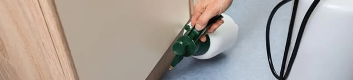 Bed bug exterminator treating baseboards and cracks with targeted spray in Rochester, NY