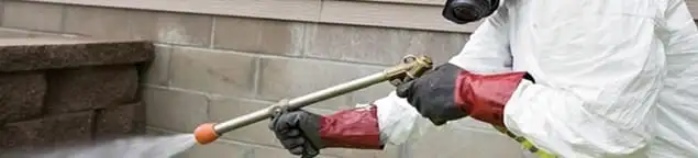 Pest control technician applying exterior insect treatment along a home foundation in Rochester, NY