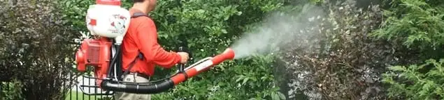 Mosquito control technician fogging shrubs and landscaping for mosquito treatment in Rochester, NY