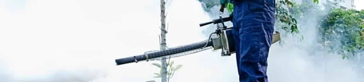 Pest control technician fogging an outdoor area for insect control in Rochester, NY