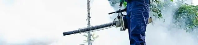 Pest control technician fogging an outdoor area for insect control in Rochester, NY