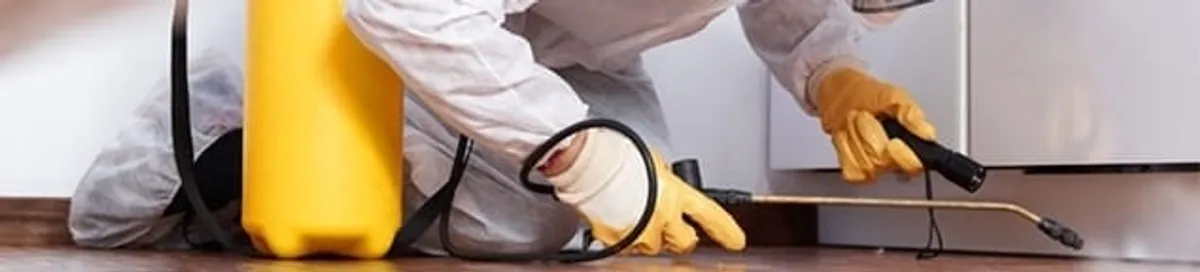 Roach exterminator treating cracks and crevices along kitchen baseboards in Rochester, NY