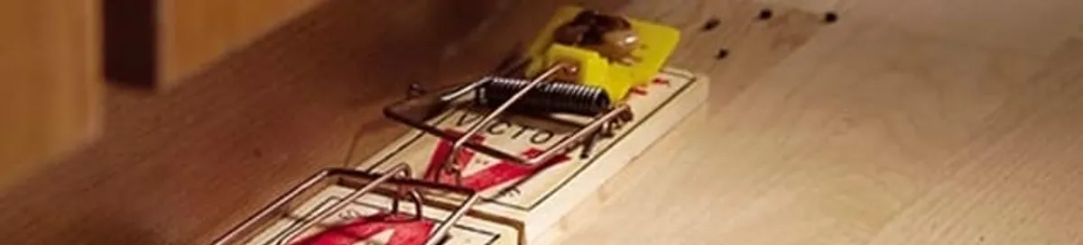 Rodent trap set indoors for rodent control and prevention in Rochester, NY